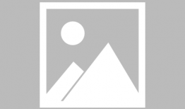 娱乐新闻播报视频,最新播报视频精彩瞬间大盘点